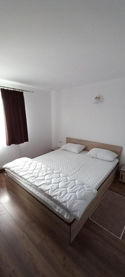 Pensiune Restaurant Alex Copalnic-Manastur Εξωτερικό φωτογραφία