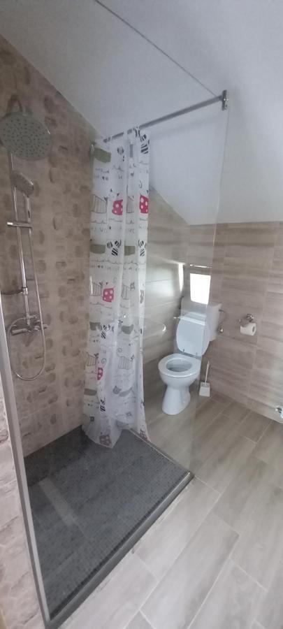 Pensiune Restaurant Alex Copalnic-Manastur Εξωτερικό φωτογραφία