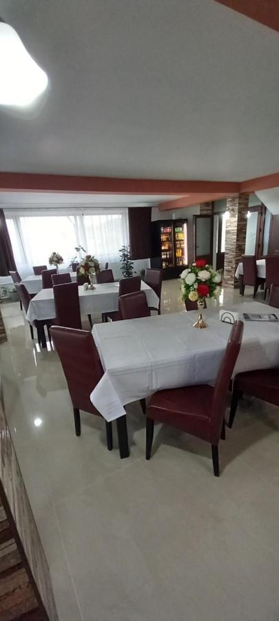Pensiune Restaurant Alex Copalnic-Manastur Εξωτερικό φωτογραφία
